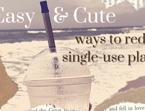 Easy (and Cute!) Ways Reduce Single Use Plastic